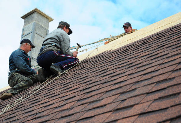 Best Roof Gutter Cleaning  in Saratoga, CA